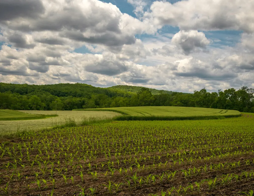 Rolling PA fields and hills