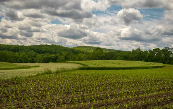 Rolling PA fields and hills