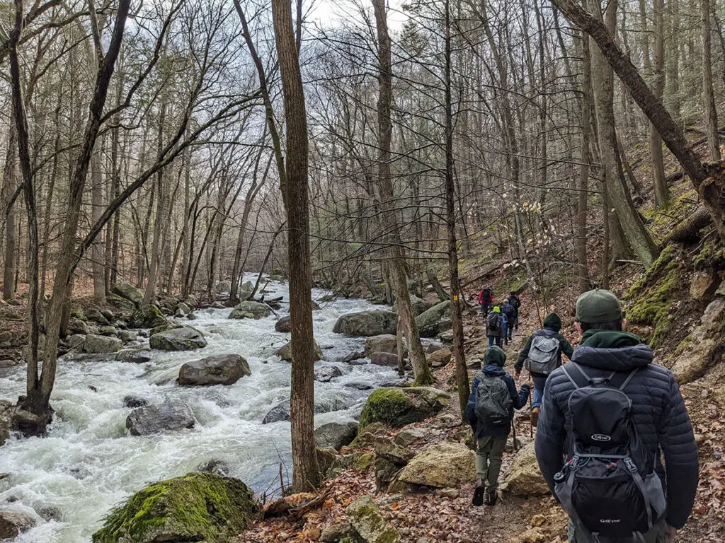 people hiking next to a creek in the forest